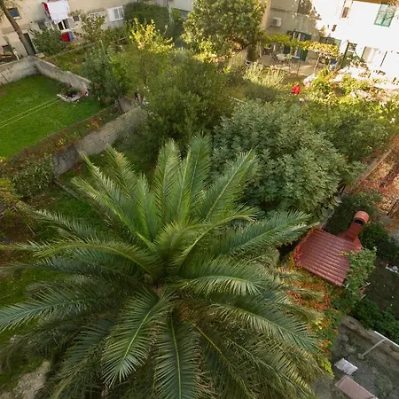 Naja Split
